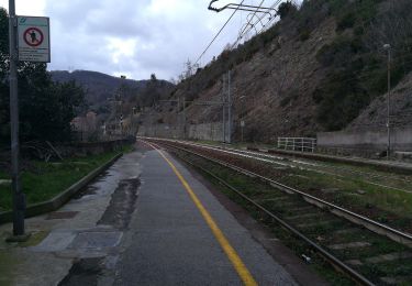 Randonnée A pied Mele - Acquasanta - Passo del Turchino - Photo
