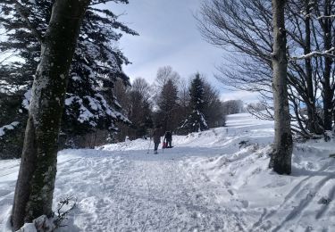 Tour Schneeschuhwandern Sewen - Sortie raquettes au Langenberg - Photo