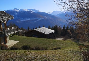 Tocht Noords wandelen Arbaz - le pertou  - Photo