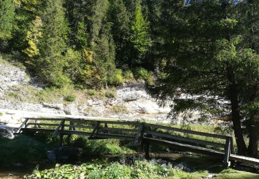 Tour Wandern Autrans-Méaudre en Vercors - méaudre 2019 - Photo