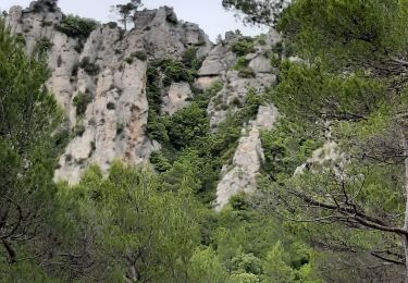 Trail Walking La Roquebrussanne - la loube la cheminée  - Photo