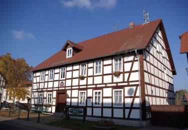 Tocht Te voet Unterspreewald - Wanderweg Schlepzig-Neu-Lübbenau-Leibsch-Neuendorf - Photo