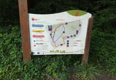 Tour Wandern Sainte-Menehould - La Grange aux Bois du 22/06/2022 - Photo