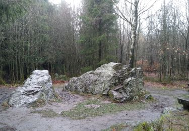 Tocht Stappen Eupen - Venenwandeling Nahtsief - Photo