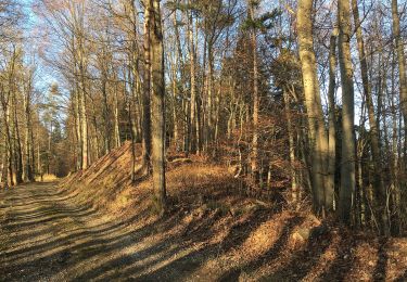 Trail On foot Winterthur - Winterthur Töss - Pfungen - Photo