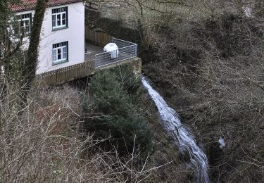 Tour Zu Fuß Auetal - HO5 - Langenfeld Route - Photo