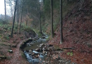 Trail Walking Stavelot - Francorchamps roannay rive gauche - Ruy retour rive droite - Photo