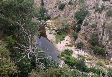 Excursión Senderismo Le Cheylard - 20250816 - Photo