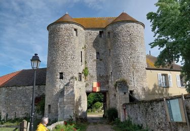 Tour Wandern Montépilloy - Montepilloy - Photo