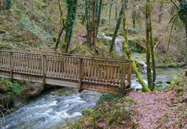 Tour Wandern Lavans-lès-Saint-Claude - Ponthoux Cuttura  - Photo