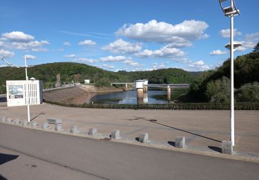 Percorso Marcia Jalhay - Balade au barrage de la Gileppe - Photo