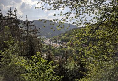 Excursión A pie Unterwellenborn - Rundwanderweg H4 - Photo