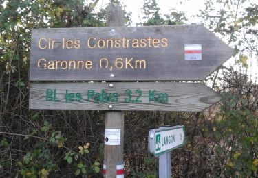 Randonnée A pied Saint-Pierre-de-Mons - Les Palus : boucle locale - Photo