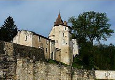 Tour Wandern Château-l'Évêque - Boucle du bois de Lavergne - Photo