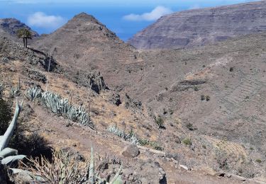 Percorso Marcia Vallehermoso - Canaries - La Gomera  - Valle Gran Rey - jour 6 - Photo