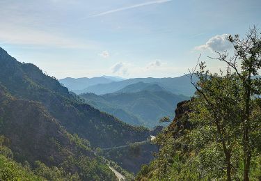 Trail On foot Castiglione Chiavarese - Castiglione Chiavarese - Costa ovest Monte Pietra di Vasca - Photo