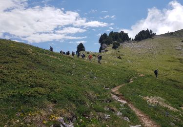 Tour Wandern Corrençon-en-Vercors - Le Pas Ernadan et la Cabane à Goupette - Photo