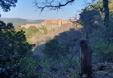 Tour Wandern Bormes-les-Mimosas - Chartreuse de la Verne - Photo