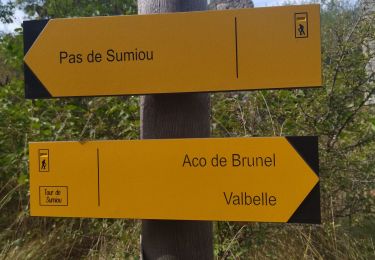 Tour Wandern Valbelle - 05 chap st Pons col sumiou zel - Photo