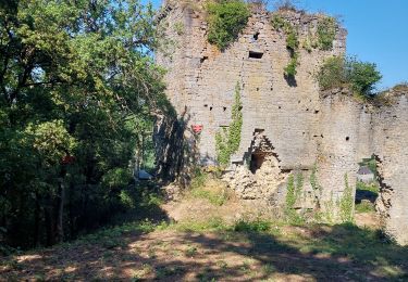 Tocht Stappen Viroinval - oloy sur viroin - Photo