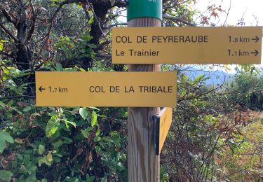 Trail Walking Saint-Martial - Saint Martial - Photo