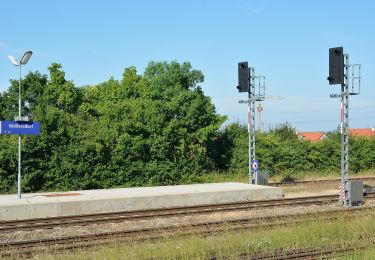 Tocht Te voet Gemeinde Wöllersdorf-Steinabrückl - Wöllersdorf - Bad Fischau Bhf - Photo