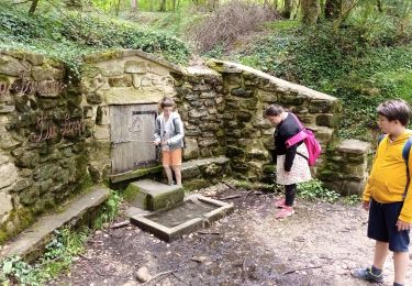 Trail Walking Saint-Donat-sur-l'Herbasse - Balade du bois de Sizay - Photo