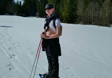 Tour Skiwanderen Saanen - abländschen - Photo