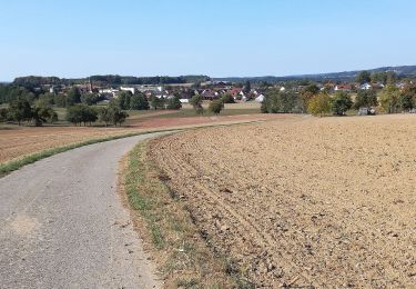 Trail On foot Buchen (Odenwald) - Rundwanderweg Waldhausen 4 Ortsrunde - Photo