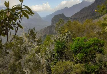 Trail Walking La Possession - la nouvelle cilaos - Photo