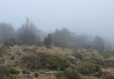 Randonnée Marche Tourrettes-sur-Loup - GOURMES  - Photo