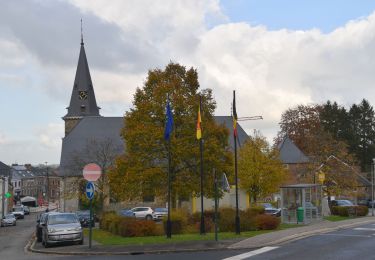 Tocht Stappen Thimister-Clermont - 20211108 - Thimister 8.5 Km - Photo