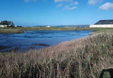 Randonnée Marche Trédrez-Locquémeau - petite boucle falaises de Tredrez-Lokemo  - Photo