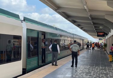 Randonnée sport  - Tren Maya: Cancún Valladolid  - Photo