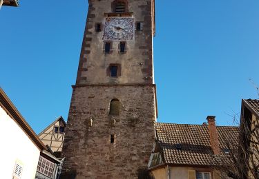 Randonnée Marche Ribeauvillé - Ribeauvillé et ses 3 châteaux - Monastère ND de Dusenbach - Photo