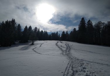 Tocht Sneeuwschoenen Ventron - grand ventron raquettes - Photo