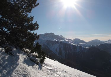 Percorso Sci alpinismo Seyne - pic de bernardez à Ski - Photo