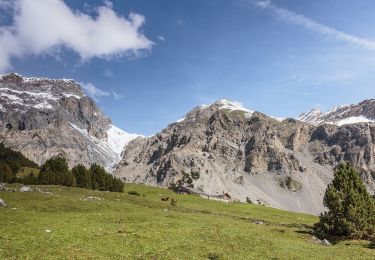 Percorso A piedi Scuol - Alp Sesvenna - Rims - Photo