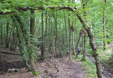 Trail Walking Leuze-en-Hainaut - balade des 7 meuse - Photo