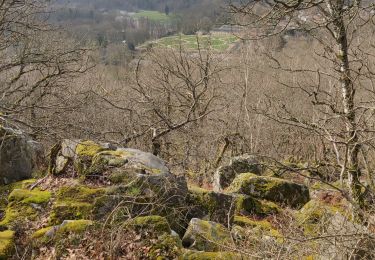 Tocht Noords wandelen Chamarande - chamarande - Photo