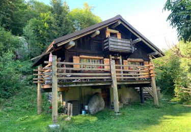 Randonnée Marche Chamonix-Mont-Blanc - Mont blancs  - Photo