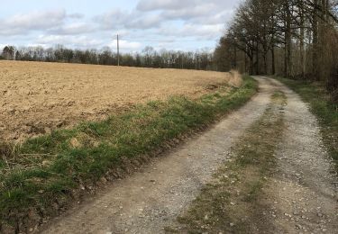 Tour Wandern Florennes - Balade à Florennes  - Photo