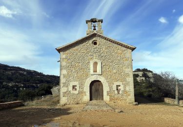 Tocht Te voet Cornudella de Montsant - Albarca - Photo