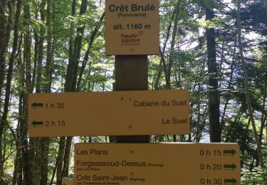 Tour Wandern Saint-Jean-de-Sixt - St-Jean-de-Sixt ... le  Crêt Brûlé.  - Photo