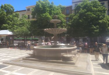 Tour Wandern Granada - 2019/05/14 Tour train - Photo