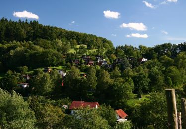 Tocht Te voet Reichelsheim (Odenwald) - Geo-Lehrpfad Ober-Kainsbach : Baustein, Erz und schwerer Spat (rot) - Photo