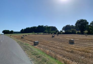 Excursión Bici de carretera Valbroye - Sassel Mt-Vully - Photo