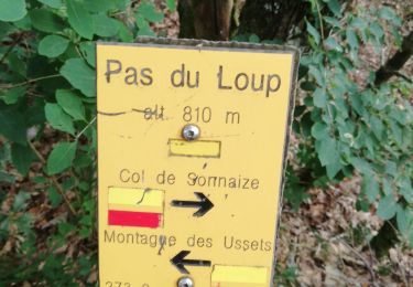 Trail Walking Rochefort-Samson - Le pas du loup au départ des Ducs,  - Photo