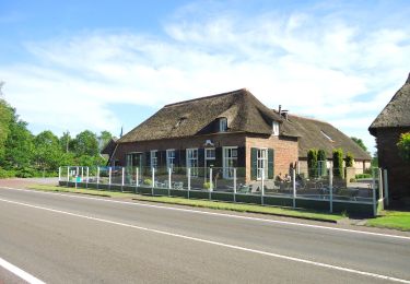 Tour Zu Fuß Zwolle - WNW IJsseldelta - Wijthmen -rode route - Photo