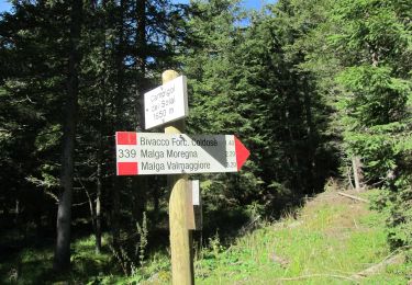 Trail On foot Ziano di Fiemme - IT-E302 - Photo